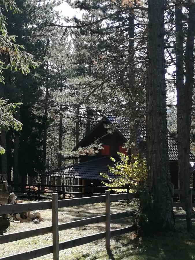 Tarski Dom Zaovine Esterno foto