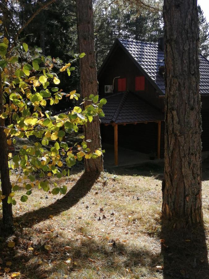 Tarski Dom Zaovine Esterno foto